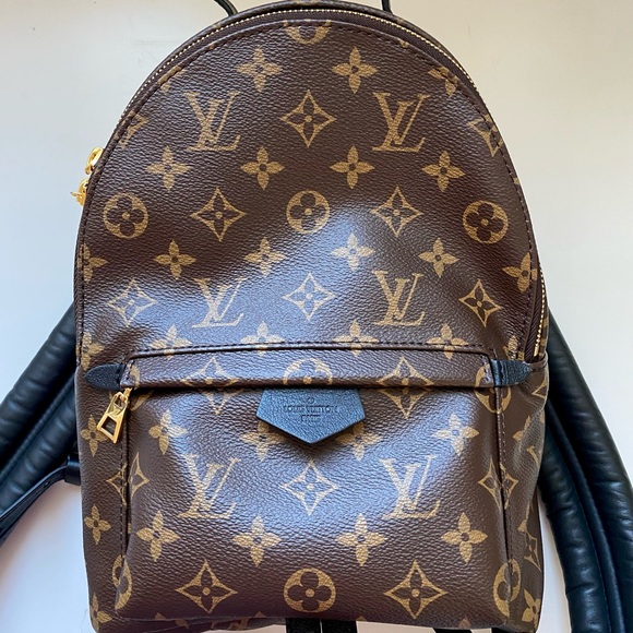 Louis Vuitton Palm Springs PM - Picture 1 of 10